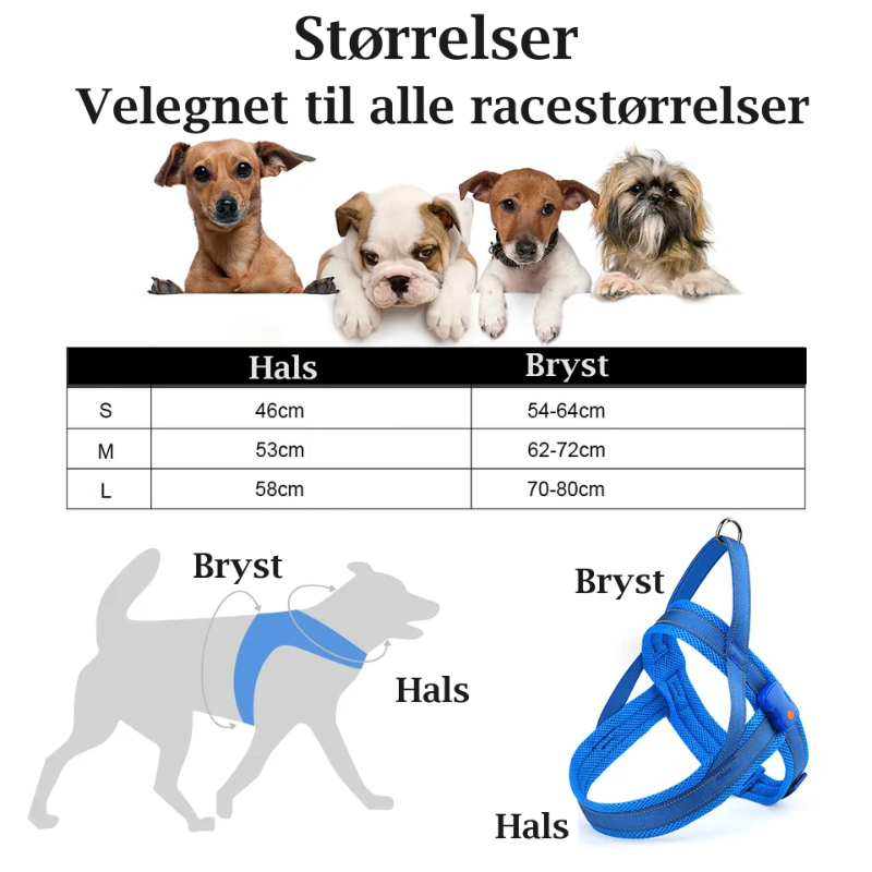 Lysende hundesele