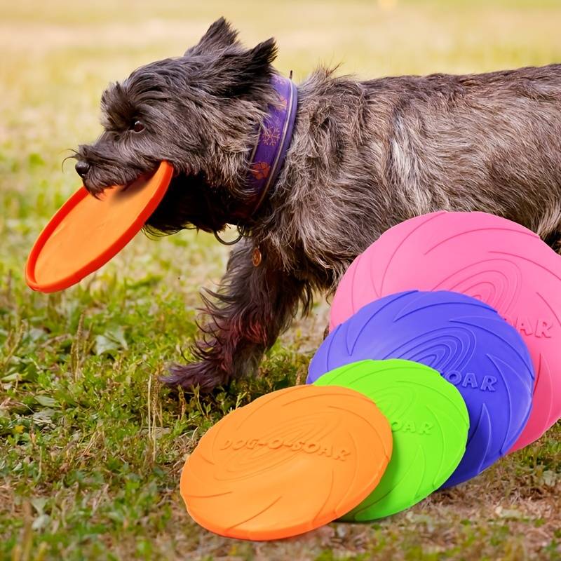 Frisbee