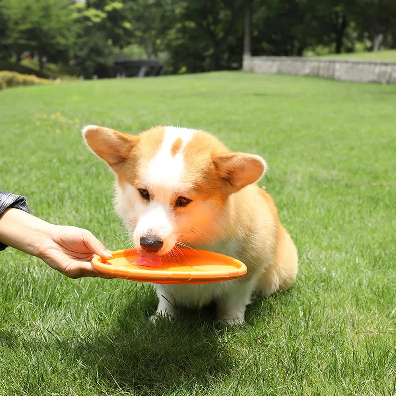 Frisbee